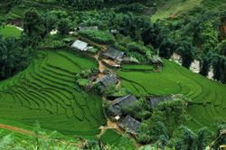 Sapa-Du lịch Tp Hồ Ch&iacute; Minh - H&agrave; Nội - Sapa - Hạ Long - Ninh B&igrave;nh